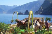 140 Schwanenhalsagaven &ndash; &copy; Susanne Schirmann (Eberhardt TRAVEL)