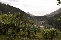 Bananenpflanzen &ndash; &copy; Martin Gruhle (Eberhardt TRAVEL)