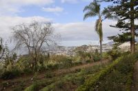 Blick auf Funchal