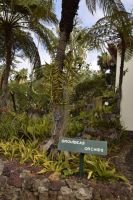 Orchideen-Bereich &ndash; &copy; Martin Gruhle (Eberhardt TRAVEL)