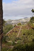 Blumen-Mosaik Funchal &ndash; &copy; Martin Gruhle (Eberhardt TRAVEL)
