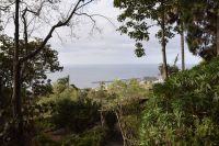 Blick vom botanischen Garten Funchal &ndash; &copy; Martin Gruhle (Eberhardt TRAVEL)