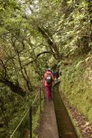 Levada do Rei &ndash; &copy; Martin Gruhle (Eberhardt TRAVEL)