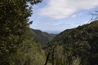 Sao Jorge Madeira &ndash; &copy; Martin Gruhle (Eberhardt TRAVEL)