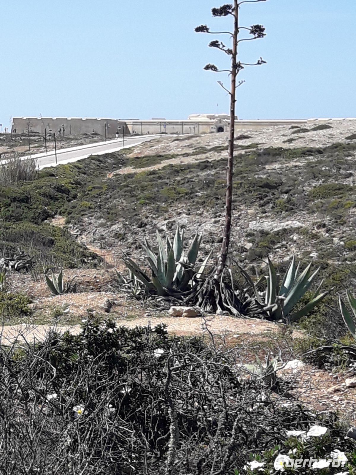 Sagres - Festung &ndash; &copy; Wolfgang Balling (Eberhardt TRAVEL)