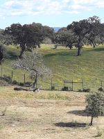 Alentejo &ndash; &copy; Wolfgang Balling (Eberhardt TRAVEL)