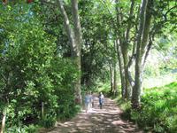Blandys Garden
