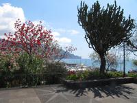 Funchal &ndash; &copy; Helen Krippner (Eberhardt TRAVEL)