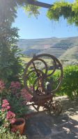 Flusskreuzfahrt Douro - Quinta da Roeda im Douro-Tal &ndash; &copy; Franziska Bergmann (Eberhardt TRAVEL)