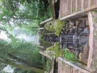 Nationalpark Bussaco &ndash; &copy; Heike Heinen (Eberhardt TRAVEL)