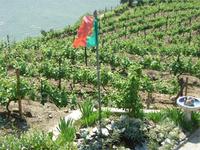 Blick ins Douro-Tal