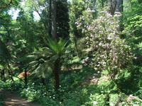 Bucaco &ndash; &copy; Barbara Mihut (Eberhardt TRAVEL)