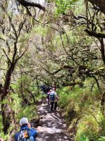 Wanderung zu den 25 Quellen &ndash; &copy; Philip Seidel (Eberhardt TRAVEL)