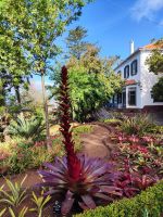 Botanischer Garten von Funchal &ndash; &copy; Philip Seidel (Eberhardt TRAVEL)