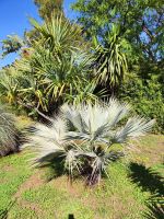 Botanischer Garten von Funchal &ndash; &copy; Philip Seidel (Eberhardt TRAVEL)