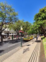 Funchal &ndash; &copy; Philip Seidel (Eberhardt TRAVEL)