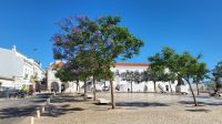 Singlereise Portugal - Ausflug nach Lagos &ndash; &copy; Franziska Bergmann (Eberhardt TRAVEL)