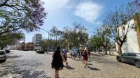 Singlereise Algarve / Portugal - Rundgang in Faro &ndash; &copy; Franziska Bergmann (Eberhardt TRAVEL)
