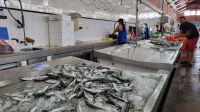 Singlereise Algarve / Portugal - Markthalle in Olhao &ndash; &copy; Franziska Bergmann (Eberhardt TRAVEL)