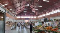 Singlereise Algarve / Portugal - Markthalle in Olhao &ndash; &copy; Franziska Bergmann (Eberhardt TRAVEL)