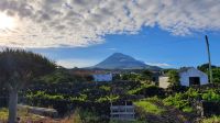 Azoren, Insel Pico, Wanderung durch die Weinfelder &ndash; &copy; Ria Heilmann (Eberhardt TRAVEL)