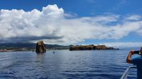 Azoren, liegender und stehender Felsen im Kanal zwischen Pico und Faial &ndash; &copy; Ria Heilmann (Eberhardt TRAVEL)