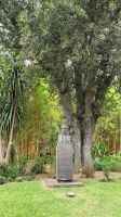 Azoren, Insel Sao Miguel, Botanischer Garten Antonio Borges &ndash; &copy; Ria Heilmann (Eberhardt TRAVEL)