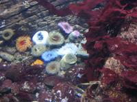 Im Ozeanium &ndash; &copy; Annette Zocher (Eberhardt TRAVEL)