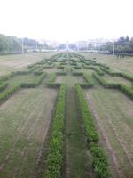 Parque Eduardo VII &ndash; &copy; Annette Zocher (Eberhardt TRAVEL)