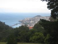 Funchal &ndash; &copy; Annette Zocher (Eberhardt TRAVEL)