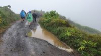Insel Sao Miguel, Wanderung Sete Cidades
