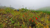 Insel Sao Miguel, Wanderung Sete Cidades &ndash; &copy; Ria Heilmann (Eberhardt TRAVEL)