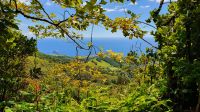 Wanderung Feuersee &ndash; &copy; Ria Heilmann (Eberhardt TRAVEL)