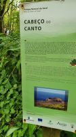 Insel Faial, Vulcanwanderung &ndash; &copy; Ria Heilmann (Eberhardt TRAVEL)