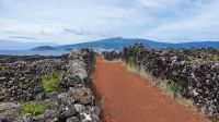 Insel Pico, Weinanbaugebiet &ndash; &copy; Ria Heilmann (Eberhardt TRAVEL)
