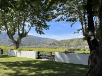 032 Weingut Peso da Regua &ndash; &copy; Thomas Krupp (Eberhardt TRAVEL)