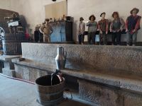 Quinta de Avessada &ndash; &copy; Peggy Pfützner (Eberhardt TRAVEL)
