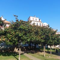 Porto &ndash; &copy; Peggy Pfützner (Eberhardt TRAVEL)