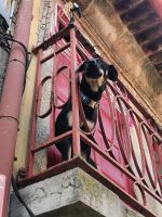 Hier wache ich!  &ndash; &copy; Simone Willner (Eberhardt TRAVEL)