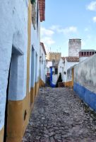 Gasse in Obidos &ndash; &copy; Simone Willner (Eberhardt TRAVEL)