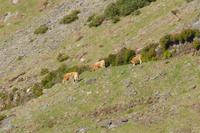 &copy; Doreen Gerlach (Eberhardt TRAVEL)