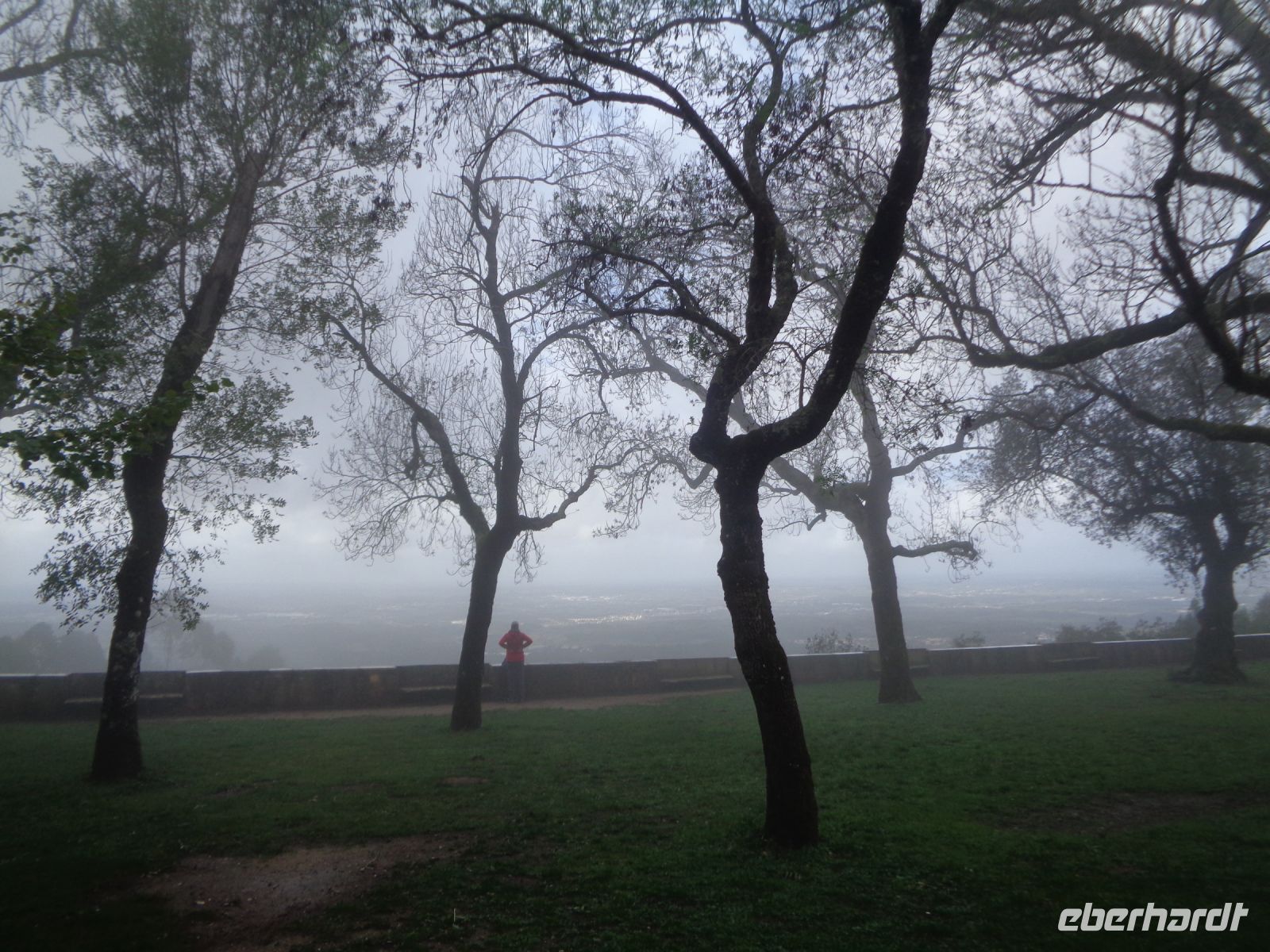 Bucaco &ndash; &copy; Barbara Mihut (Eberhardt TRAVEL)