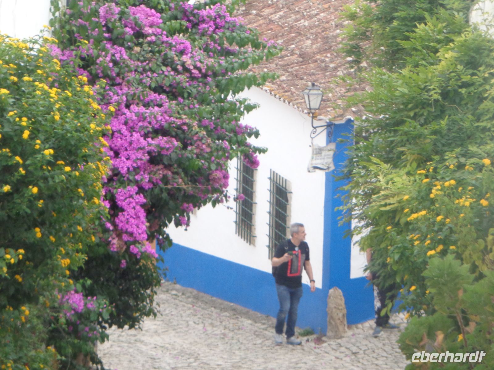 Óbidos &ndash; &copy; Barbara Mihut (Eberhardt TRAVEL)