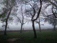 Bucaco &ndash; &copy; Barbara Mihut (Eberhardt TRAVEL)