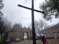 Bucaco &ndash; &copy; Barbara Mihut (Eberhardt TRAVEL)
