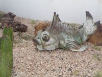 Cabo-Fisch &ndash; &copy; Barbara Mihut (Eberhardt TRAVEL)