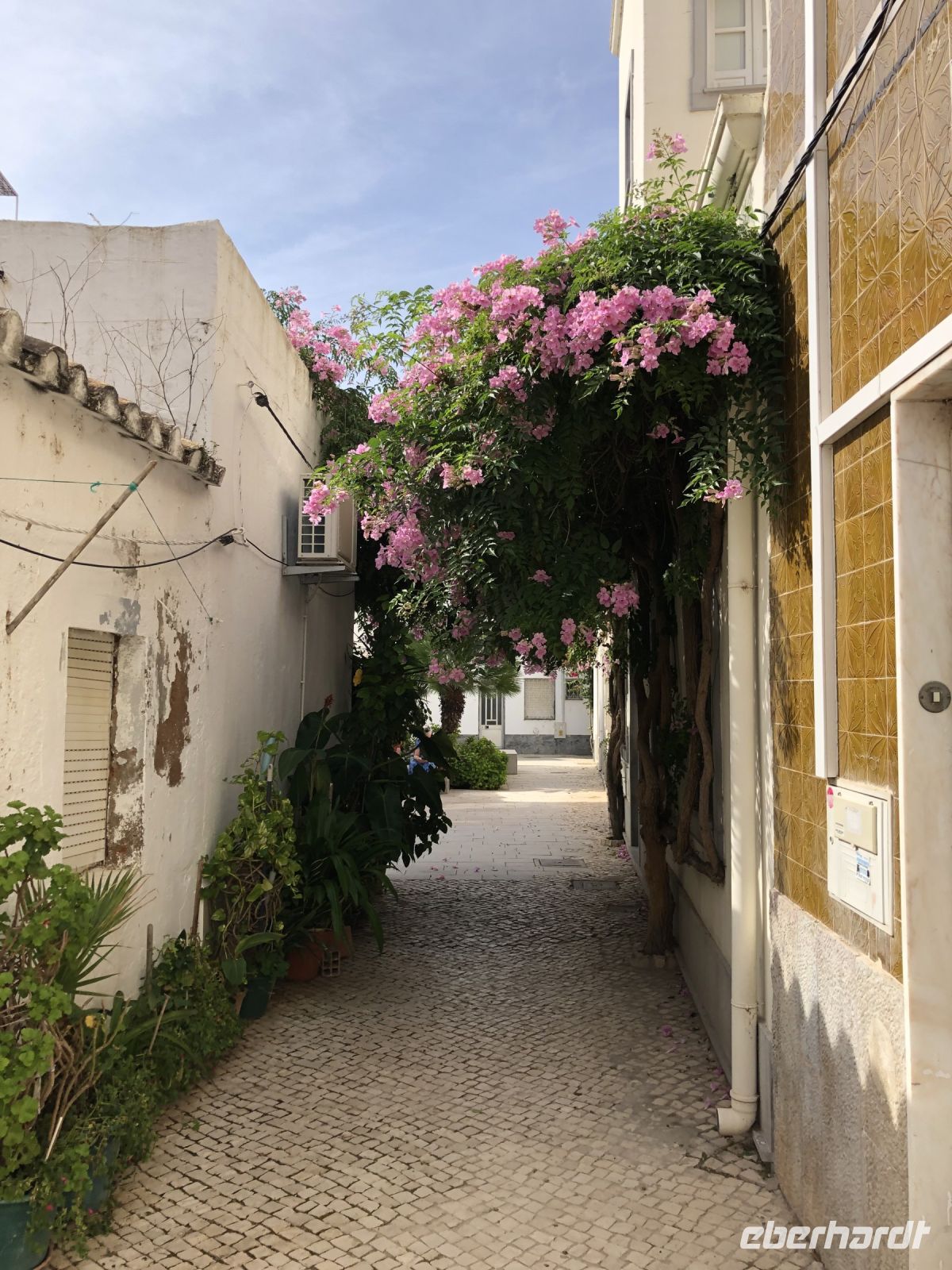 Olhao &ndash; &copy; Sabine C. Seifert (Eberhardt TRAVEL)