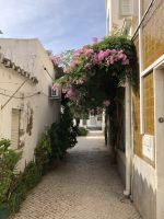 Olhao &ndash; &copy; Sabine C. Seifert (Eberhardt TRAVEL)