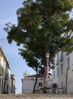 Tavira &ndash; &copy; Sabine C. Seifert (Eberhardt TRAVEL)