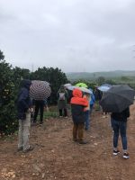Orangenplantage bei Regen &ndash; &copy; Sabine C. Seifert (Eberhardt TRAVEL)